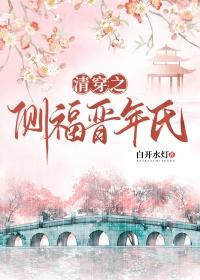 清穿之侧福晋年氏百度