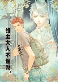 领主大人的金币用不完叫什么