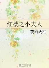 红楼之小夫人免费读