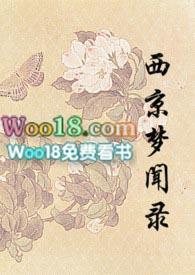 西京梦闻录 槛外江南txt