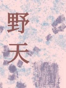 野天鹅读书笔记