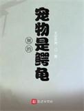 我的宠物是鳄龟作者五彩贝壳