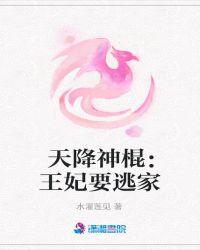 天降王妃