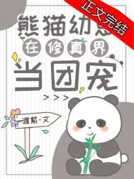 熊猫幼崽在修真界当团宠 渡紫