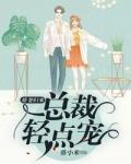 总裁轻点宠免费全集
