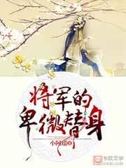 将军的卑微替身沈枫番外免费