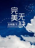 完美无缺 金刚圈
