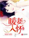 暖妻入怀言欢免费阅读笔趣阁