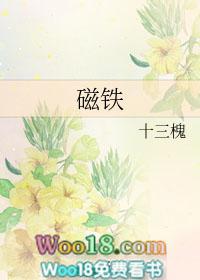 磁铁的化学成分