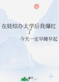 在娃综办太学后我爆红了番外篇