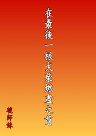 最后一根火柴中心句