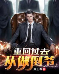 书名重返过去当大佬