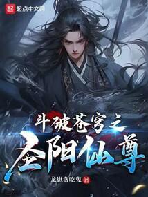 斗破苍穹之圣阳仙尊精校版