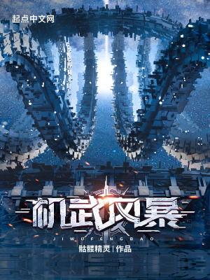 机武风暴epub