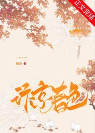 汴京春色娴白全文免费