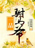 一品驸马爷男主是秦风的名字