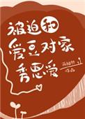 被迫和爱豆对家秀恩爱结局