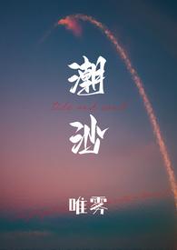 潮沙(1v1)_唯雾_新御宅屋