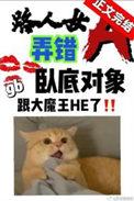 路人女A弄错卧底对象了百度