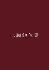 心脏在什么位置