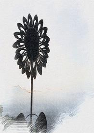道法人民代表大会制度