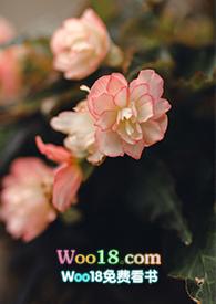 游园惊梦笔趣阁