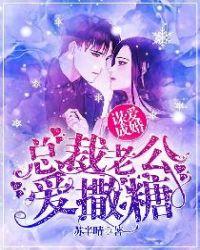 谋爱成婚总裁老公爱撒糖宁浅封肆夜