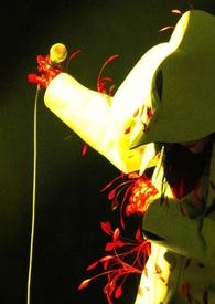 避风港PO落锦换