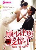 @l顾少的独家挚爱