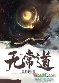 法无定法道无常道