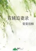 首辅追妻录晋江