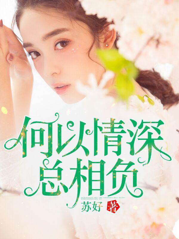 何以情深总相负宁夏傅时晟