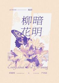 柳暗花明下一句是什么?