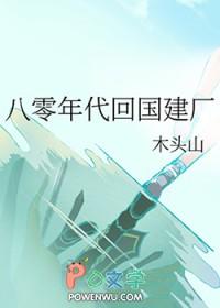 八零年代回国建厂 作者木头山