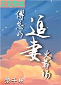傅总的追妻火葬场短剧全集免费观看