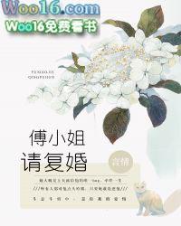 傅总宋小姐