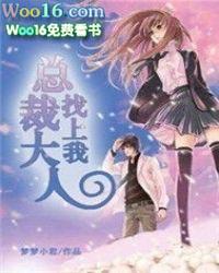 总裁大人找上我 梦梦小君