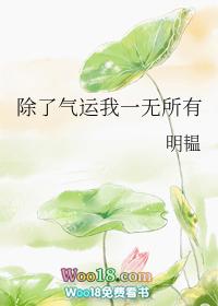 除了气运我一无所有txt资源