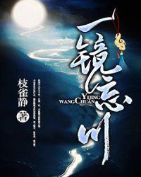 一镜忘川好不好看