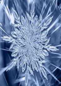 冷温度是多少度