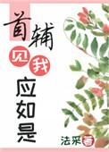 首辅见我应如是宝书网