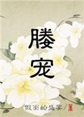 媵宠by