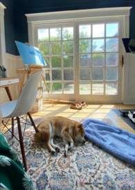 何处是归途免费观看全集