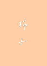 柿子红南红属于什么档次