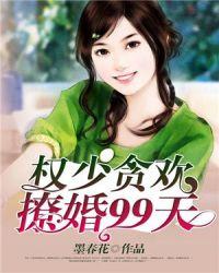 权少追妻99天