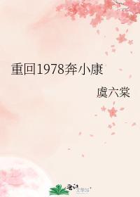 重生1978奔小康