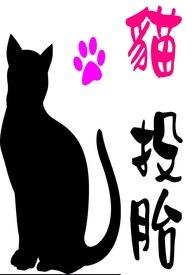 猫投胎的人有什么特征
