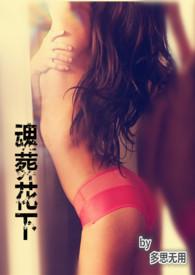 葬花是哪个里面的