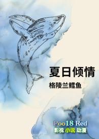 夏日倾情在线观看