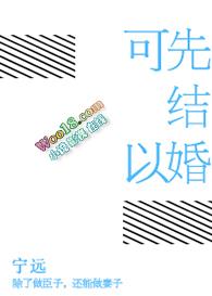 可以先结婚gl宁远免费阅读